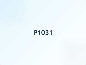 Meaning of Code P1031 and Its Causes