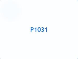 P1031 Error Causes and Solutions