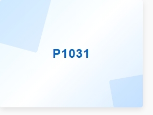 P1031 Engine Trouble Code Causes
