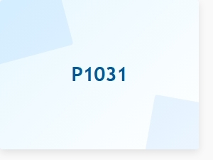 P1031 Diagnostic Trouble Code Solution