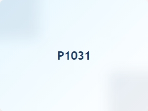 Meaning of Code P1031 in Vehicle Diagnostics